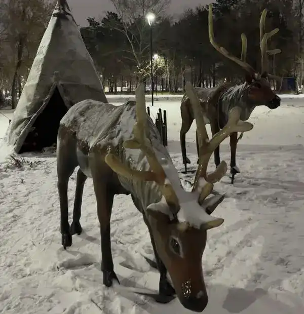 Немного волшебства: кто в Караганде создаёт новогоднюю атмосферу (10)