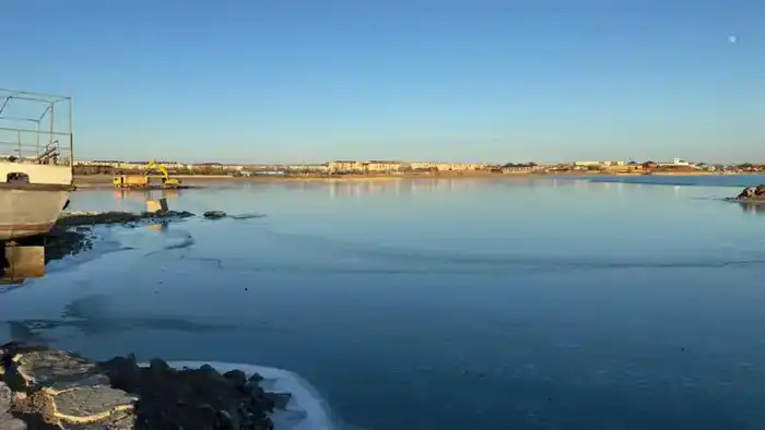 Очистка озера Балхаш стартовала в Карагандинской области {city2}