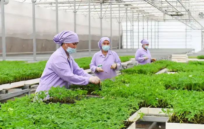 Аграрный небосвод Туркестанской области: урожайная радуга и инновационные горизонты {city2}