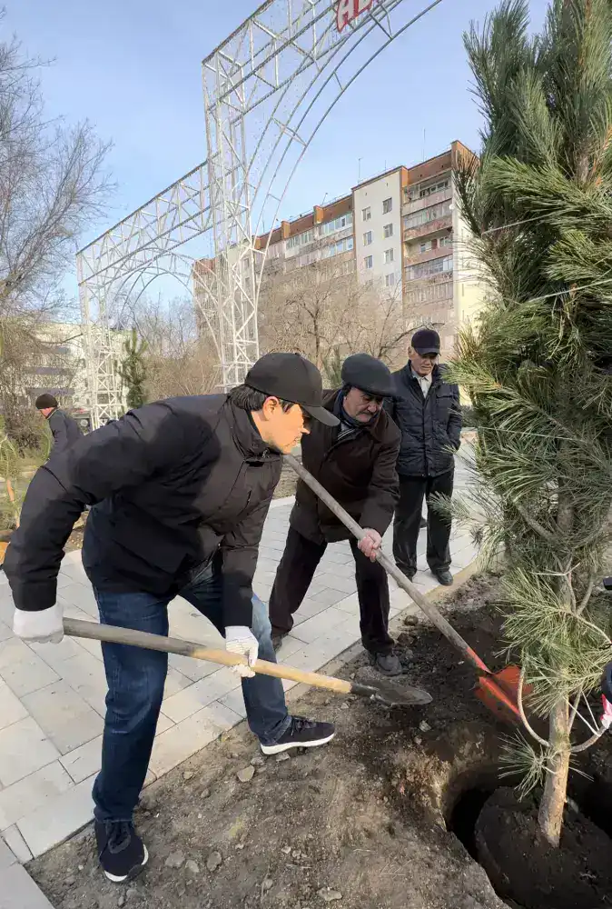 В Актобе было высажено 150 сосен, привезенных благодаря спонсорской поддержке предпринимателей (6)