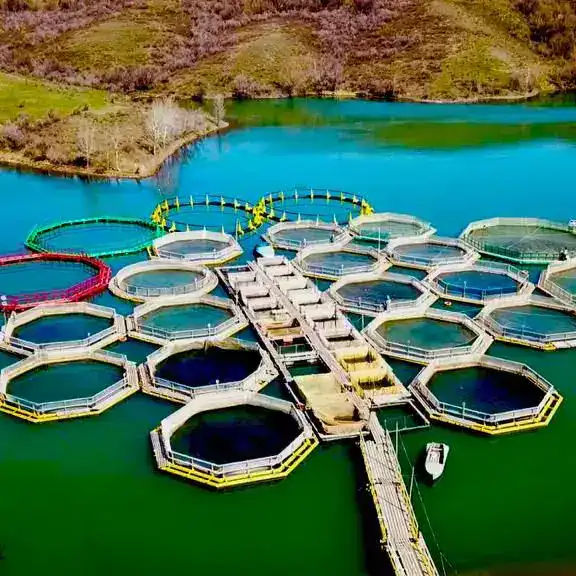 Упрощение доступа к водоемам для садкового хозяйства в Казахстане: условия и требования для юридических лиц {city2}