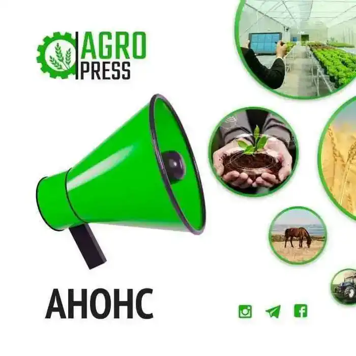 Обсуждение мер по развитию агропромышленного комплекса: встреча вице-министра с населением Акмолинской области {city2}