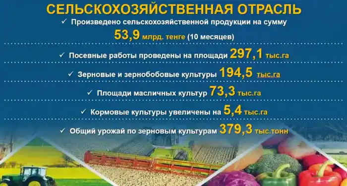 Социально-экономическое развитие Карабалыкского района: результаты и перспективы (3)