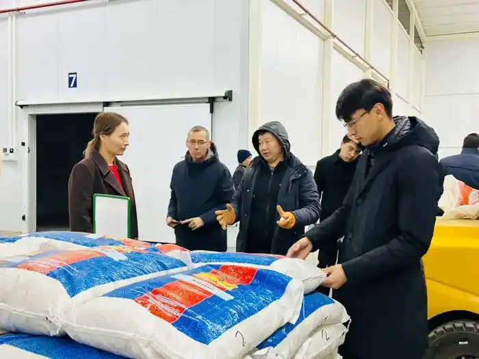 Производственный парк в Туркестанской области создание новых рабочих мест и инвестиции {city2}