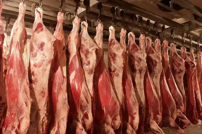 Мясной урожай 2025 года: свыше миллиона тонн на столе страны {city2}