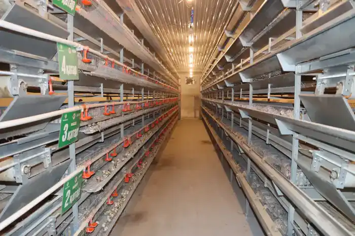 Советник главы Правительства посетил село Бесарык (3)