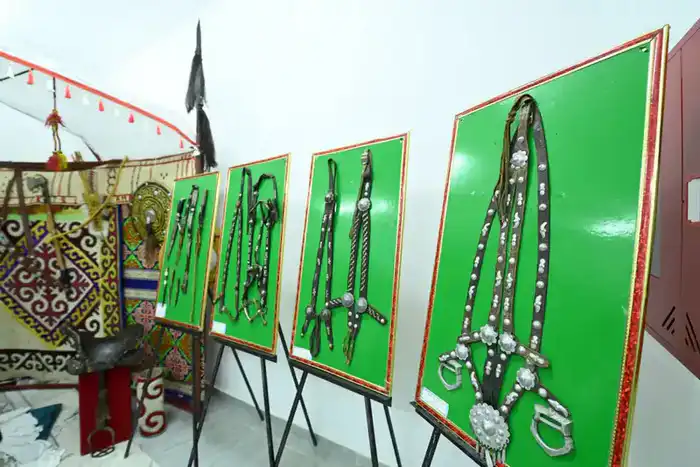 В селе Майдаколь зажглась новая звезда — клуб на 100 мест! {city2}