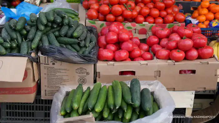 В Казахстане с 6 января начнут контролировать цены на 14 социальных продуктов, включая фарш, огурцы и помидоры {city2}