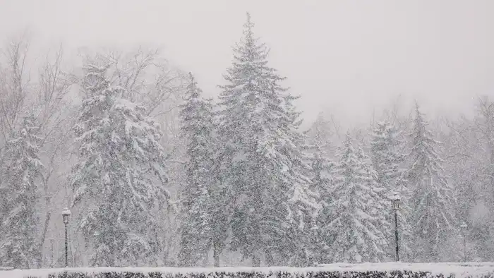 Казахстан в морозном плену: прогноз на декабрьские дни {city2}