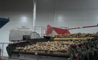 Изменения в производстве и потреблении лука и картофеля в Казахстане: последствия для экспорта и импорта к 2025 году