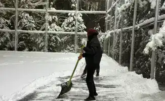 экосистема Алматы волонтерство молодежь устойчивое будущее