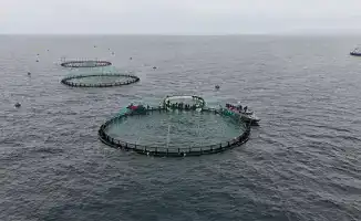 Каспийский старт: рыбоводство в Мангистау!