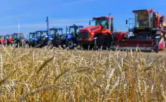 Увеличение валового выпуска сельскохозяйственной продукции на 6,1% способствует улучшению продовольственной безопасности и разнообразия на рынке