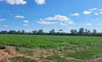 AgroSky: инновации в агросекторе Караганды способствуют снижению затрат и повышению урожайности для фермеров