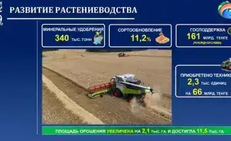 Гауез Нурмухамбетов: факты и вопросы на пресс-конференции