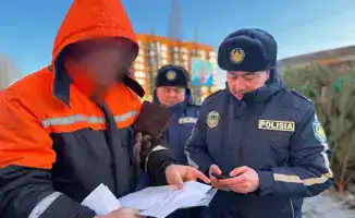 Полиция Павлодарской области проводит рейды по охране хвойных деревьев от незаконной рубки