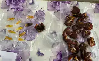 Пресечённые попытки contraband в учреждениях УИС: последствия для безопасности и правопорядка