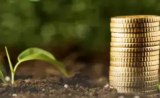 Погаси долг без пени: успей до декабря 2025!