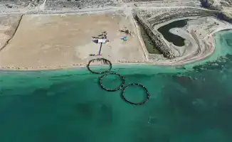 Аквакультура: Жемчужина экономики на волне инвестиций!