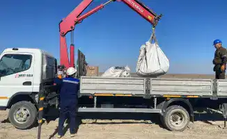 В Атырау восстановили природу после нарушений