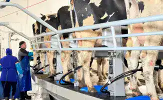 84 проекта: агроинновации на старте в СКО!