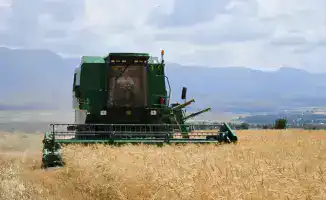 Увеличение объемов сельхозпродукции в Туркестанской области способствует экономическому росту и развитию тепличного хозяйства