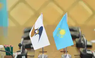 Рабочая встреча Казахстана и ЕАЭС по вопросам фитосанитарного сотрудничества