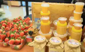 Рост предпринимательской активности и создание рабочих мест: итоги программы «Ауыл аманаты»