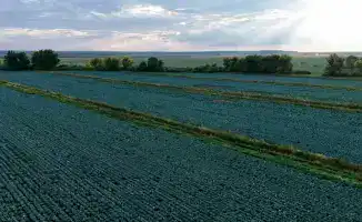 Увеличение урожая в Казахстане: последствия диверсификации для сельского хозяйства