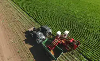 Акмолинская область: инвестиционный космос Казахстана на орбите роста