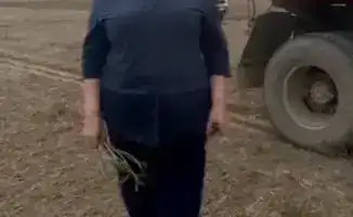 46 лет в агрономии: как Светлана меняет землю