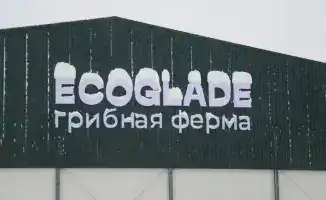 Открытие крупной грибной фермы в регионе с современным производством