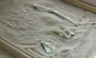 Дети в Астане: профессии и археология в садике!