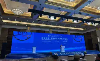 Шанхай: Казахстан и страны Глобального Юга