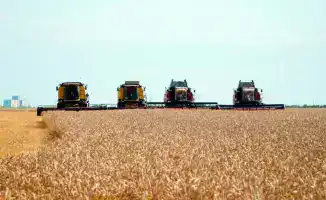 Казахстан запускает программу кредитования для модернизации элеваторов