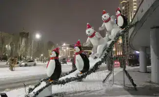В столичном районе Есиль высадили более 200 тысяч зеленых насаждений за год