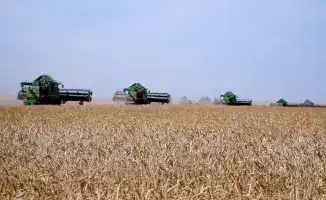 Успех Акмолинской области в сборе зерна способствует развитию местной экономики и привлечению инвестиций