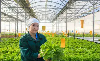 В Жетісу наблюдается значительный рост продукции малого и среднего бизнеса на 15,2%