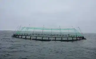 Проект аквакультуры в Мангистауской области выращивание морского лосося