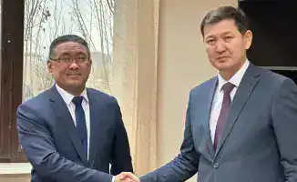 Назначение нового заместителя председателя Комитета ветеринарного контроля и надзора: акцент на ветеринарной безопасности и развитии инфраструктуры в Казахстане