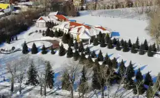 Резиденция для VIP: комфорт или бремя бюджета?