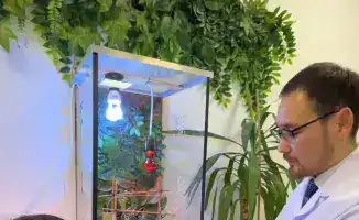 Кабинет «Живой природы»: уроки из мира рептилий