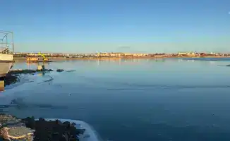 Очистка озера Балхаш стартовала в Карагандинской области