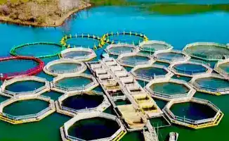 Упрощение доступа к водоемам для садкового хозяйства в Казахстане: условия и требования для юридических лиц