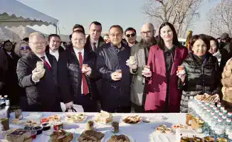 Казахстан запустил международный проект по интенсивному садоводству с открытием Мичуринского сада