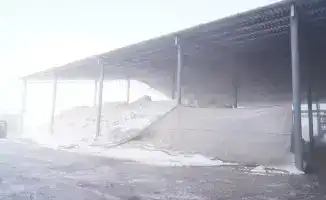 Развитие хлопкового кластера в Мактаарале: вклад в экономику и социальное благосостояние региона