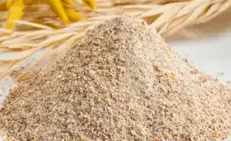 Кормовая мука из России отправлена в Китай