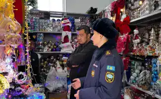 Фейерверки под защитой: как сделать новогодние праздники безопасными с помощью простых правил