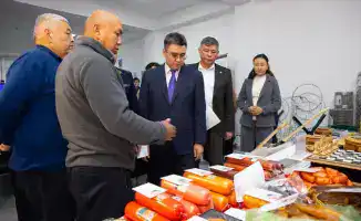 Создание новых рабочих мест для осужденных в Алматинской области: международный опыт и перспективы трудоустройства