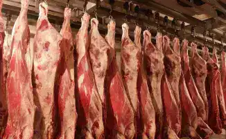 Мясной урожай 2025 года: свыше миллиона тонн на столе страны